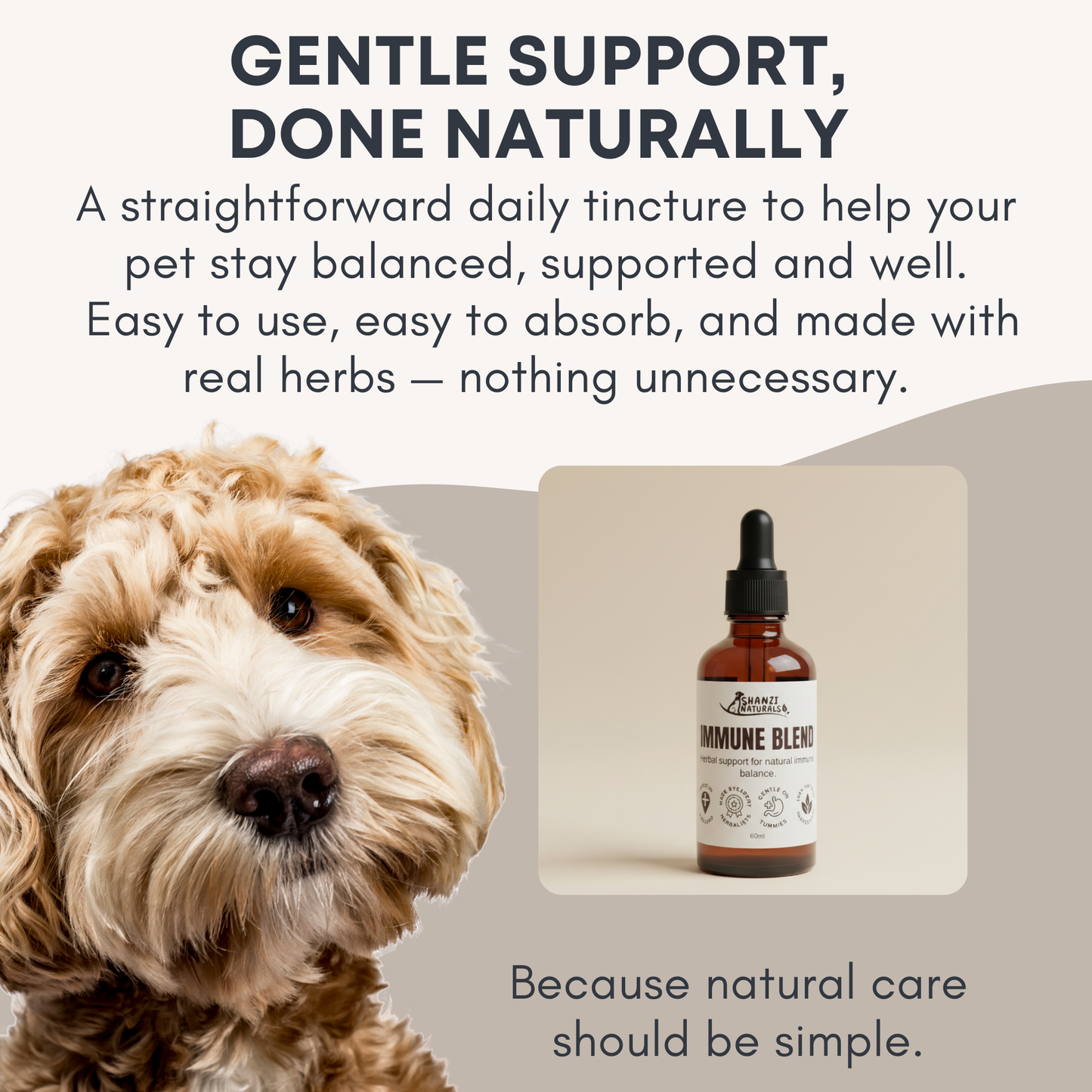Immune Support Tincture for Dogs & Cats – Everyday Herbal Wellness Support
