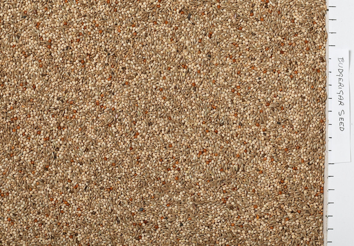 Johnston & Jeff Budgerigar Seed 3kg