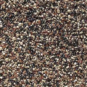 Johnston & Jeff Cage Bird Condition Type 44