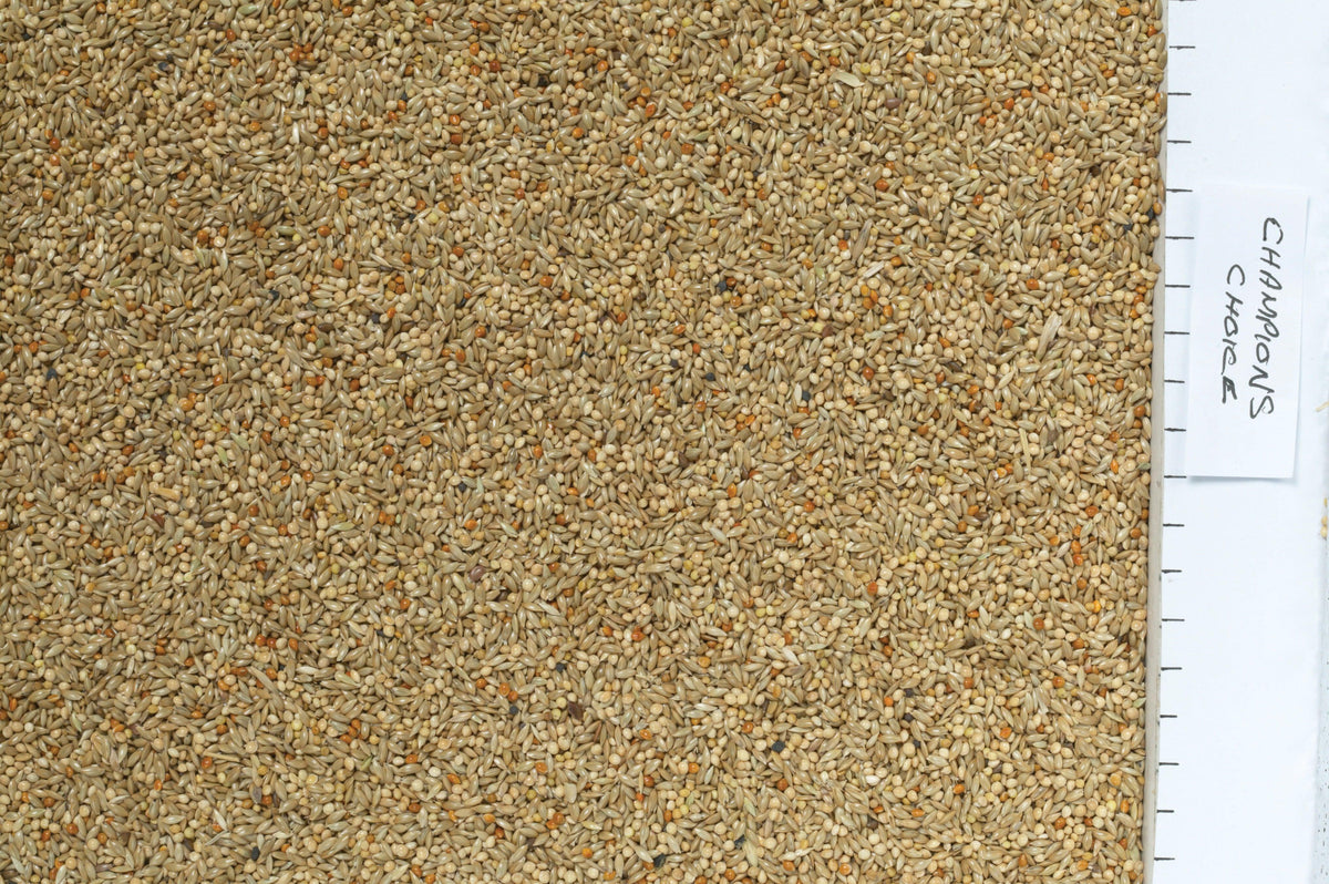 Johnston & Jeff Champions Choice Budgieseed 20kg
