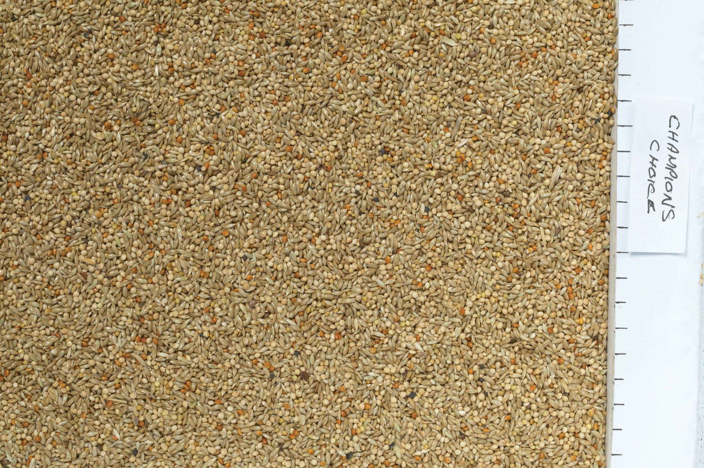 Johnston & Jeff Champions Choice Budgieseed