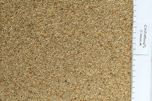 Johnston & Jeff Champions Choice Budgieseed