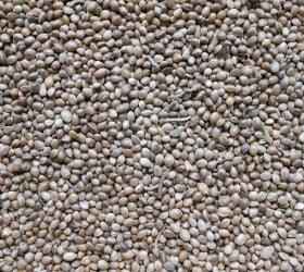 Johnston & Jeff Hemp Seed