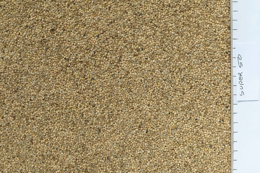 Johnston & Jeff Super 50 Budgieseed