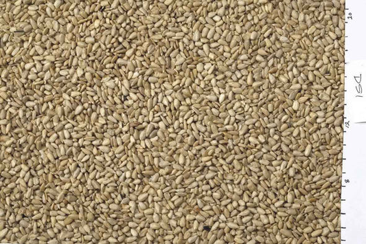 Johnston & Jeff White Sunflowerseed