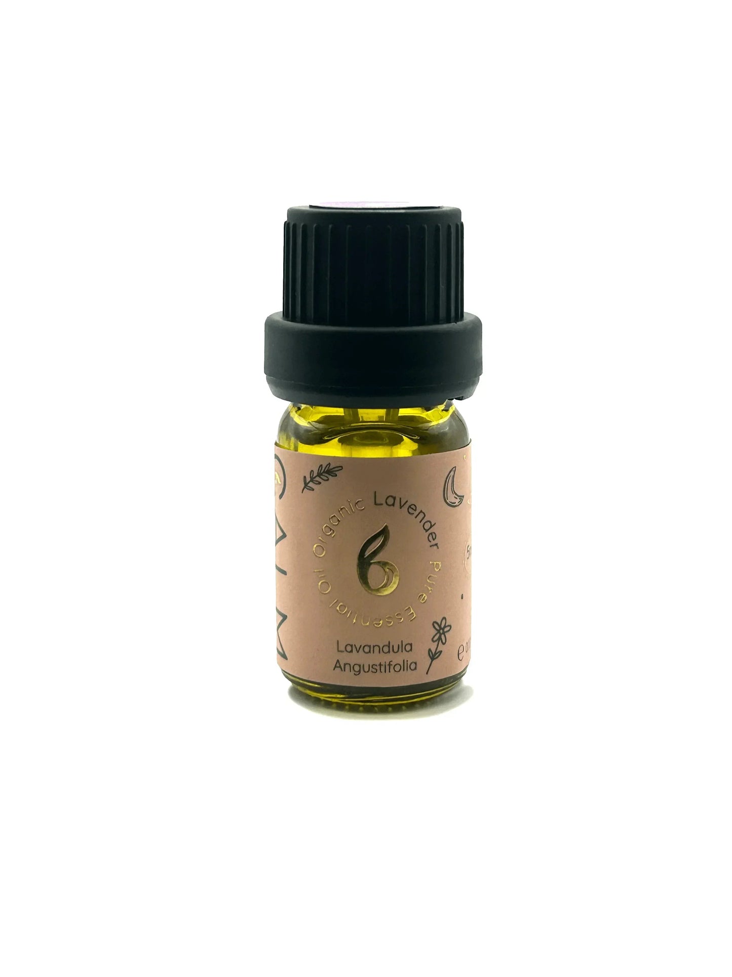 Full Set of 8 Organic Essential Oils + Treat!