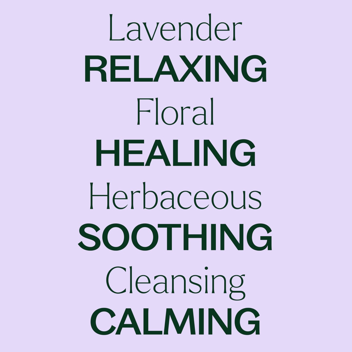 Plant Therapy Organic Lavender Essential Oil – 100% Pure, USDA Organic, 10 mL