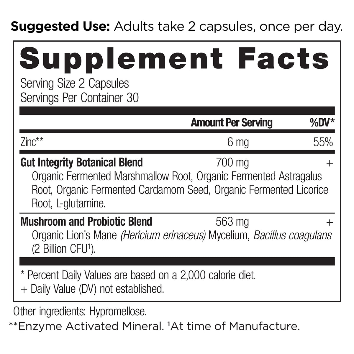 Ancient Nutrition Leaky Gut Capsules 60 Count – Gut Health Support