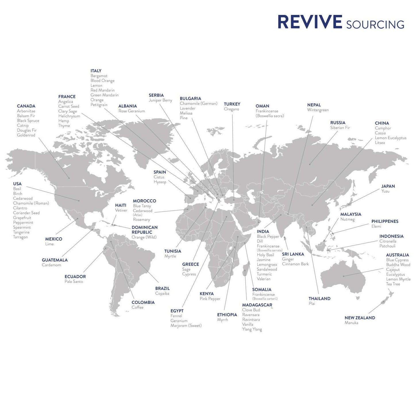 Lemon Essential Oil by Revive Essential Oils | 100% Pure Therapeutic Grade
