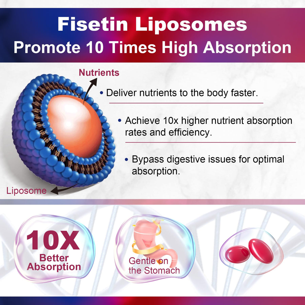 LILICARE Fisetin Supplement - Liposomal Super Absorption 98% Pure 1200mg with Quercetin, Resveratrol, Green Tea Extract for Healthy Aging & Longevity, Skin Health, Brain & Antioxidant - 60 Softgels