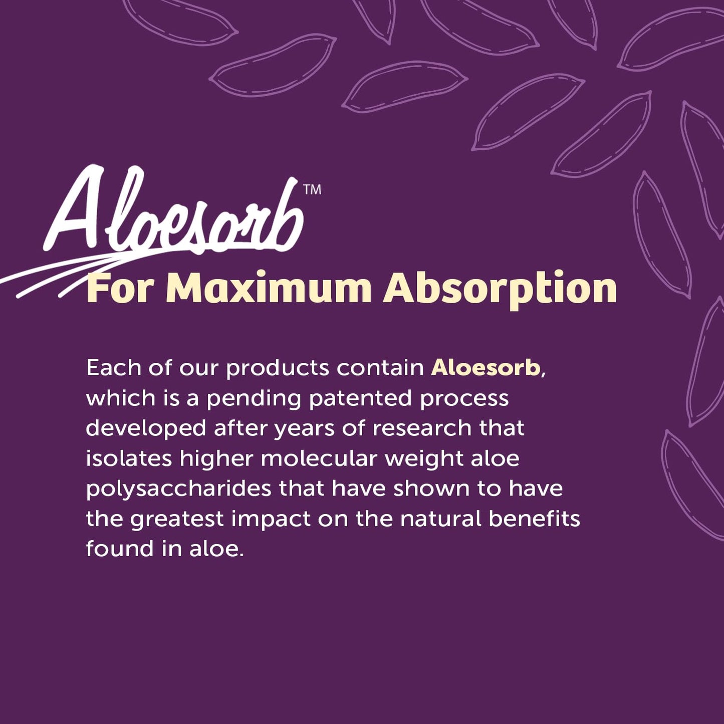 Lily Of The Desert Stomach Formula - Organic Aloe Vera Juice for Gut Health & Heartburn Relief - 32 oz