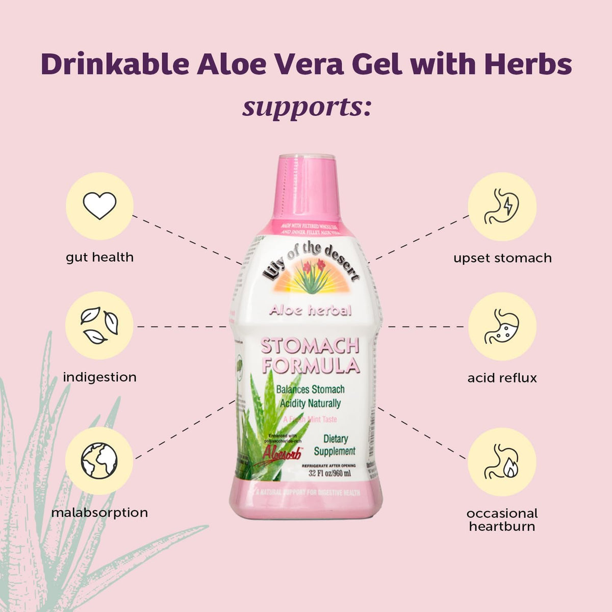 Lily Of The Desert Stomach Formula – Organic Aloe Vera Juice with Slippery Elm & Herbs (Pack of 2)
