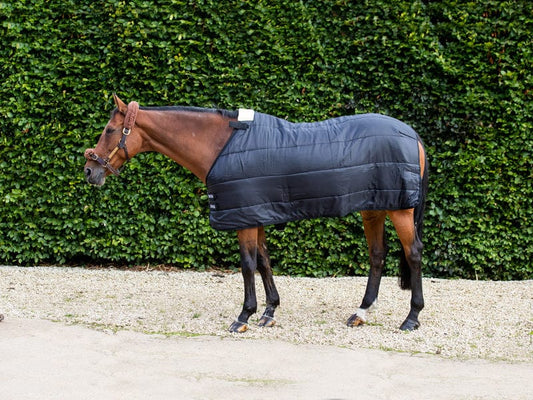 300g Horse Rug Liner