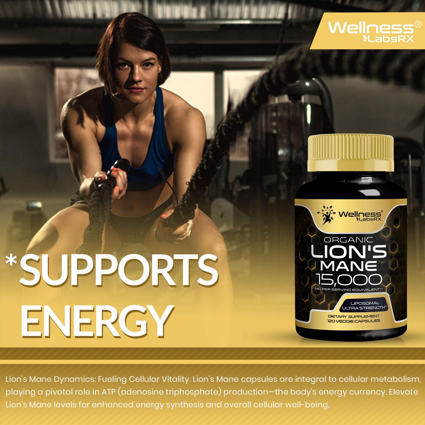 Lion's Mane Supplement Capsules - 120 Count | Cognitive & Immune Support