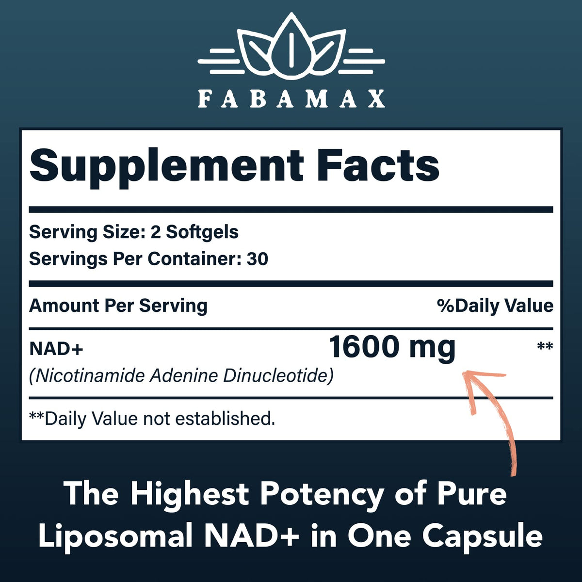 1600 mg Liposomal NAD+ Supplement – 98% Pure NAD+ | Superior Absorption | 120 Softgels