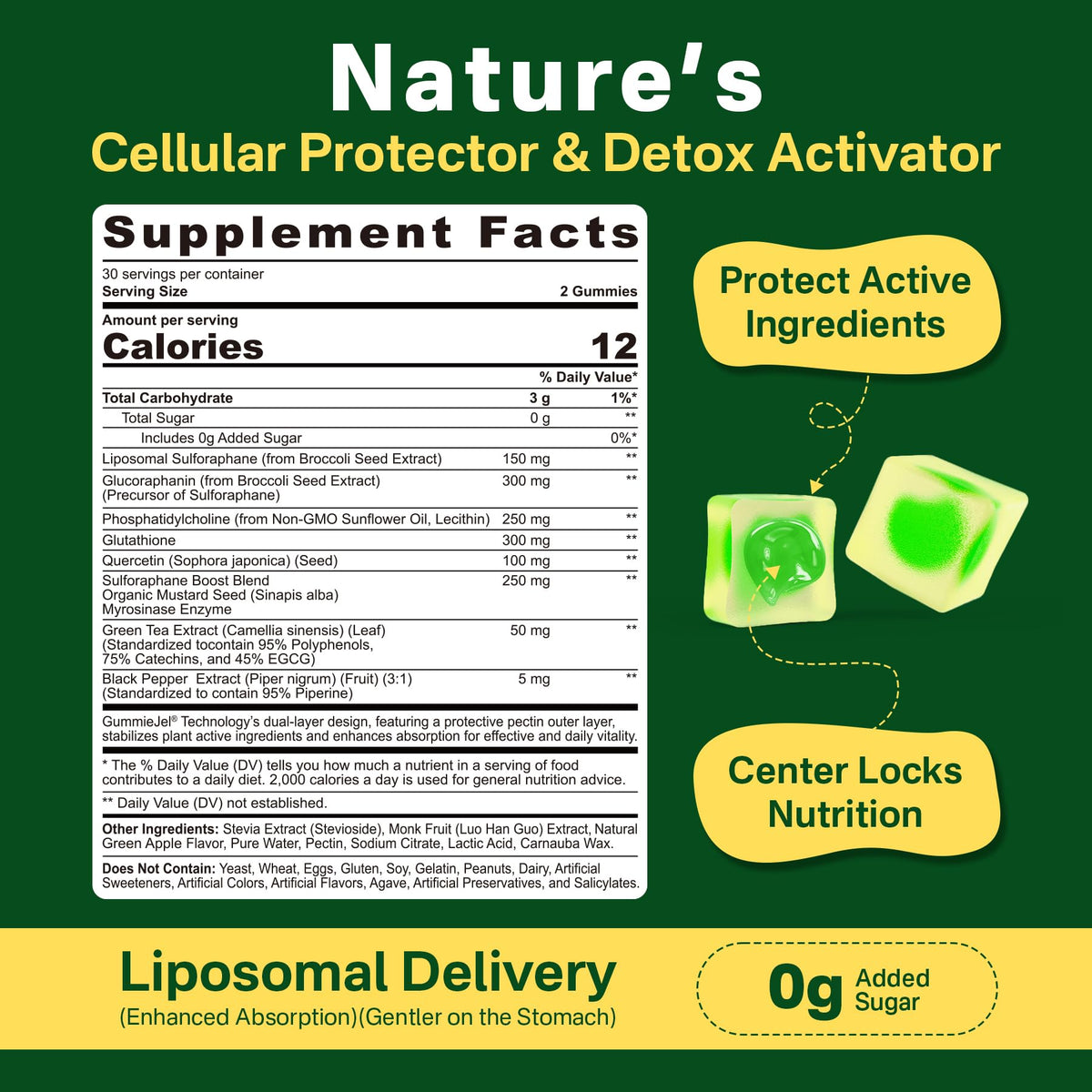 Liposomal Sulforaphane 150mg Gummies – Broccoli Seed Extract, Myrosinase, 60 Count