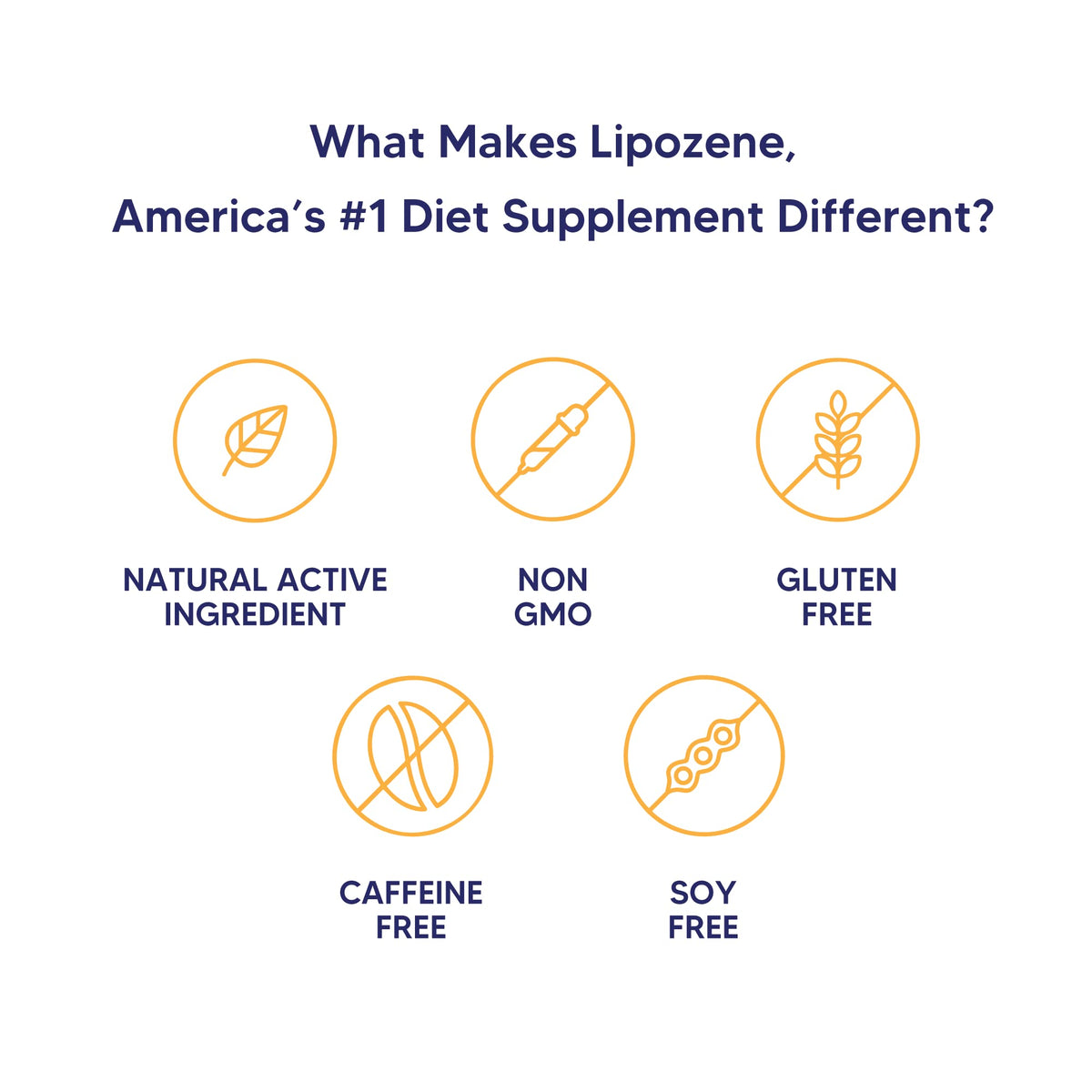 Lipozene Diet Pills – 4 Bottles (120 Capsules) Fiber-Based Appetite Control