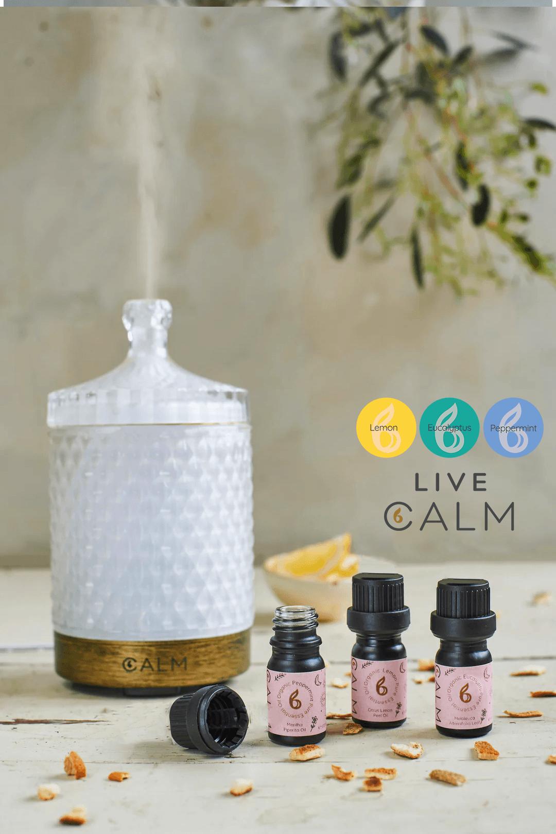 Aroma Diffuser with our Live Calm Oil Set - Energy & Immunity Boost
