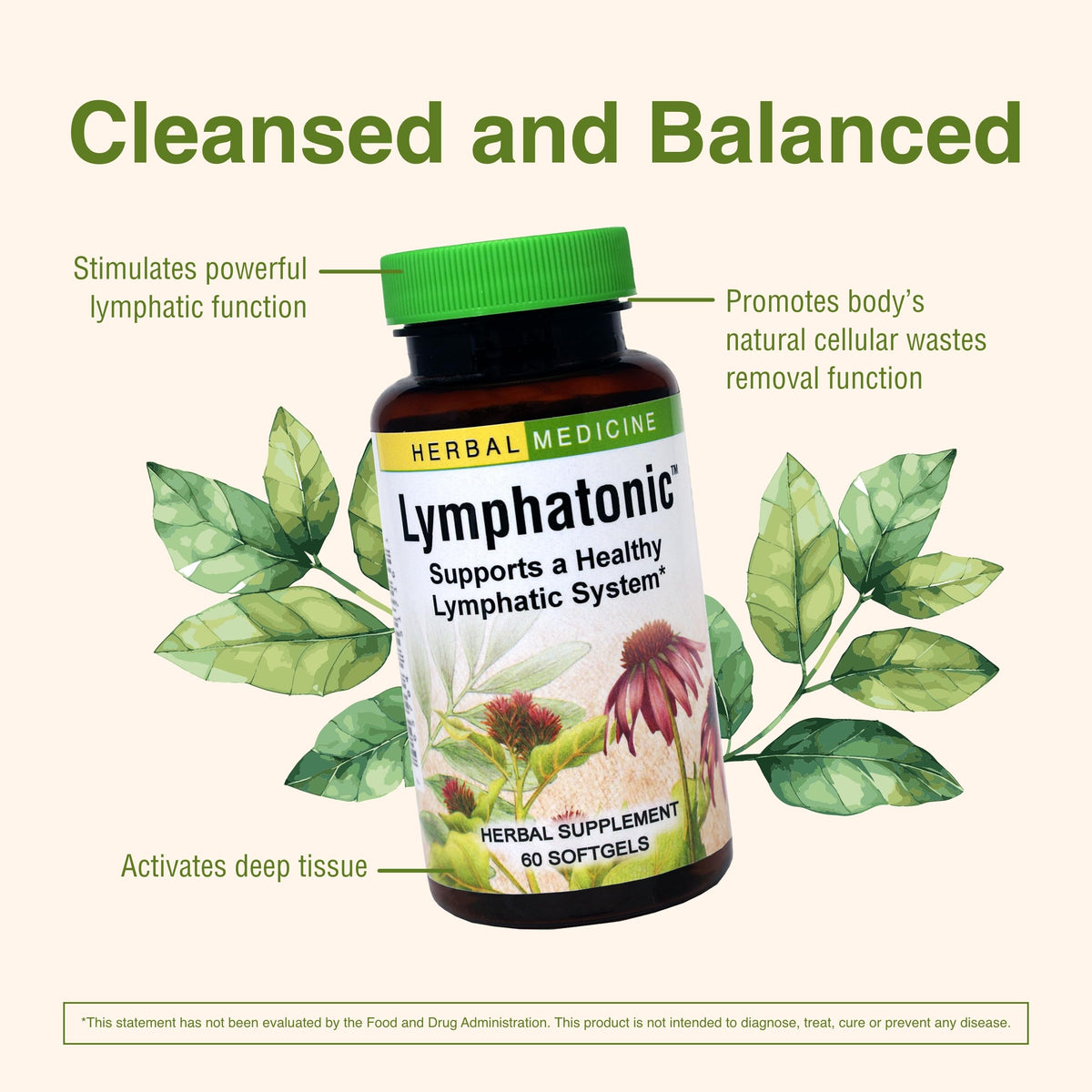 Herbs ETC. Lymphatonic Sg, 60 CT | Lymphatic Support Herbal Supplement