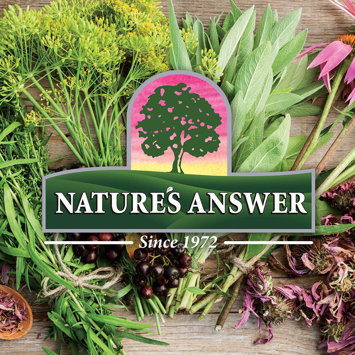 Nature's Answer Valerian Root Extract 2 oz – Alcohol-Free, Gluten Free, Made in USA