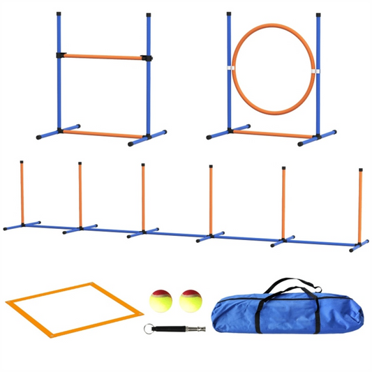 Dog agility training equipment