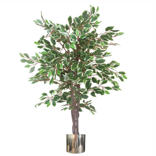 130cm LARGE Realistic White Edge Ficus Artificial Plant Tree Silver Metal Planter