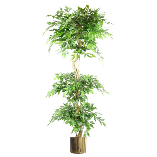 180cm Artificial Twisted Trunk Fruticosa Ficus Tree Triple Ball Topiary 1984 Leaves Gold Metal Planter