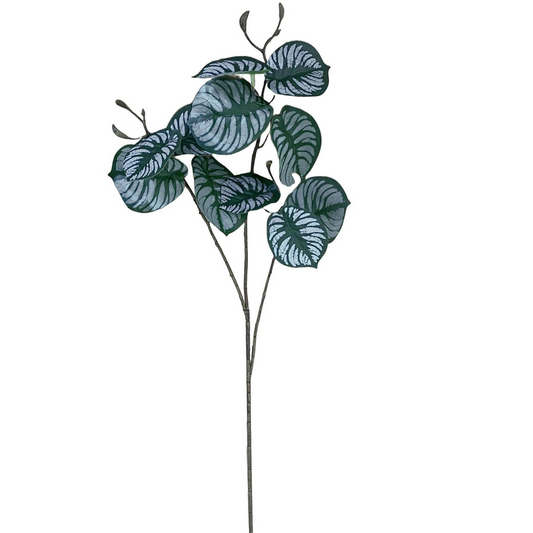 70cm Artificial Zebra Foliage