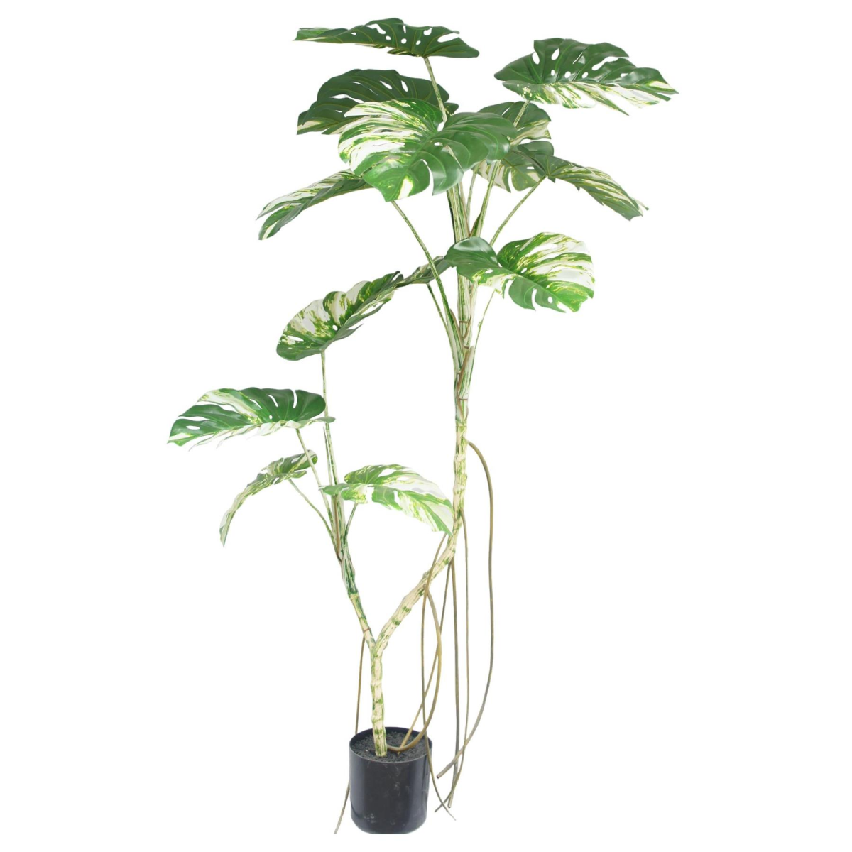180cm Variegated Monstera Realistic Artificial Tree