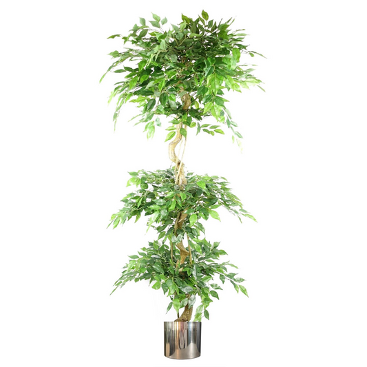 180cm Artificial Twisted Trunk Fruticosa Ficus Tree Triple Ball Topiary 1984 Leaves Silver Metal Planter