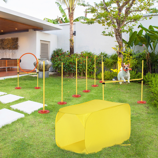 Dog agility training equipment