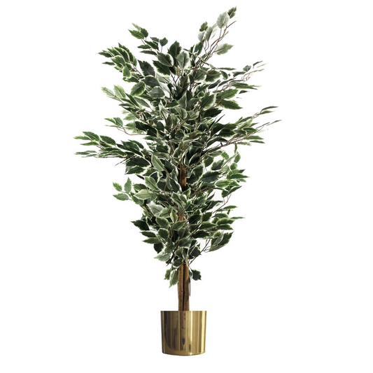 130cm Variegated White/Green Bushy Ficus Tree Gold Metal Planter