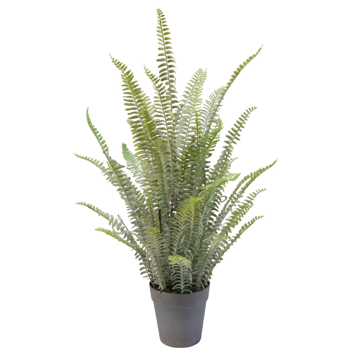 74cm Artificial Fern Plant
