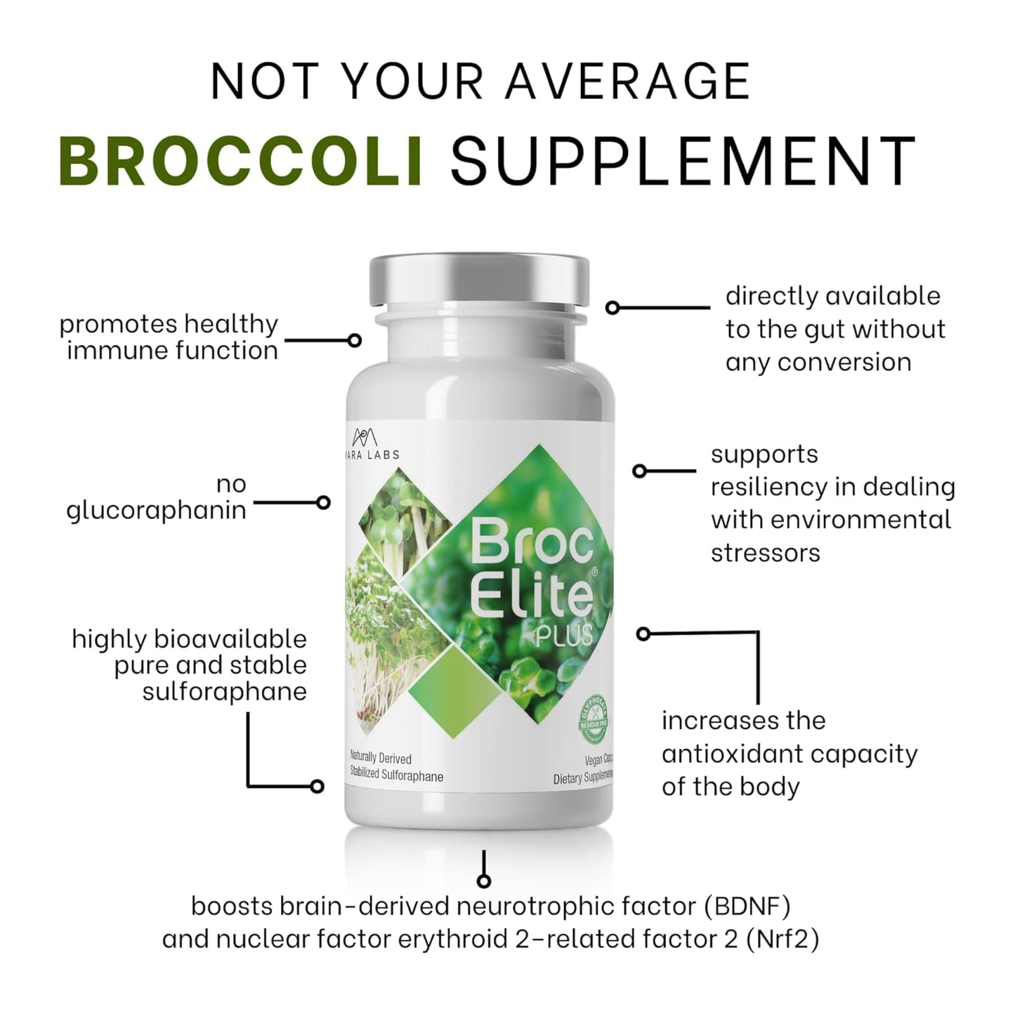 BrocElite Plus by Mara Labs – Stabilized Sulforaphane Broccoli Supplement, Glyphosate-Free, 60 Veg Capsules
