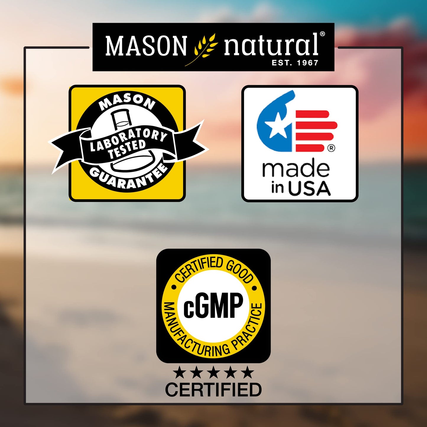 Mason Natural Saw Palmetto - Prostate Health Support, 500 mg