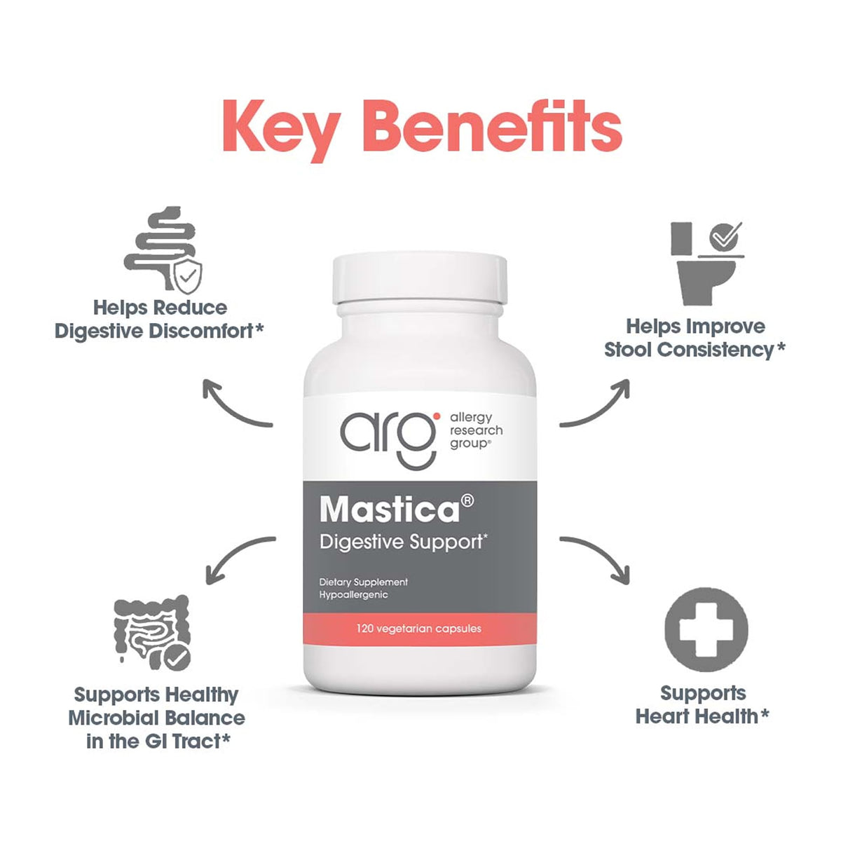 Allergy Research Group Mastica - 500 mg Mastic Gum Capsules for Digestive Support (120 Count)