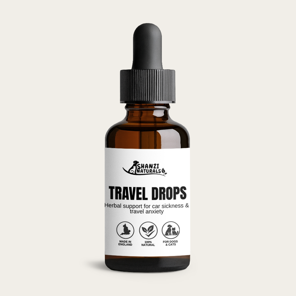 Travel Drops for Dogs & Cats – Herbal Support for Car Sickness & Travel Anxiety