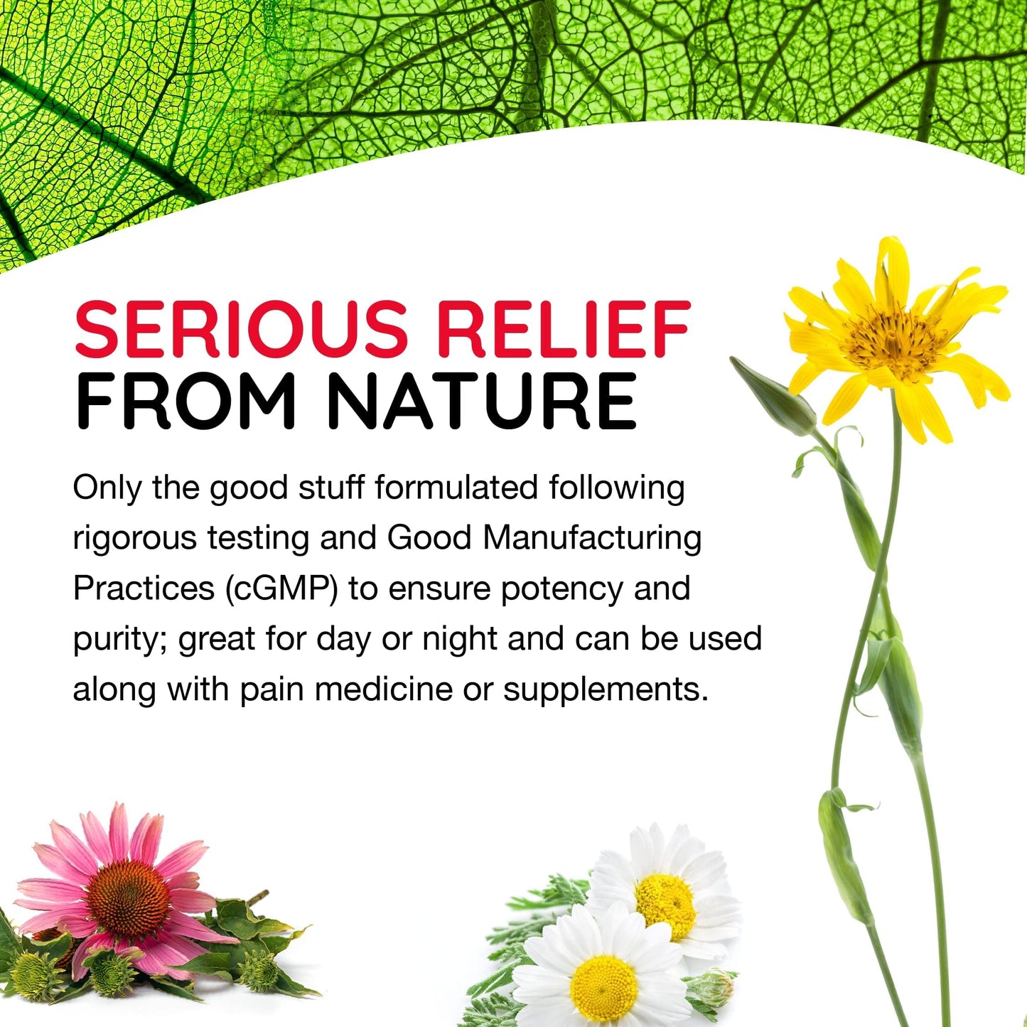 MediNatura T-Relief Extra Strength Arnica Cream – Whole-Body Comfort (3 oz)