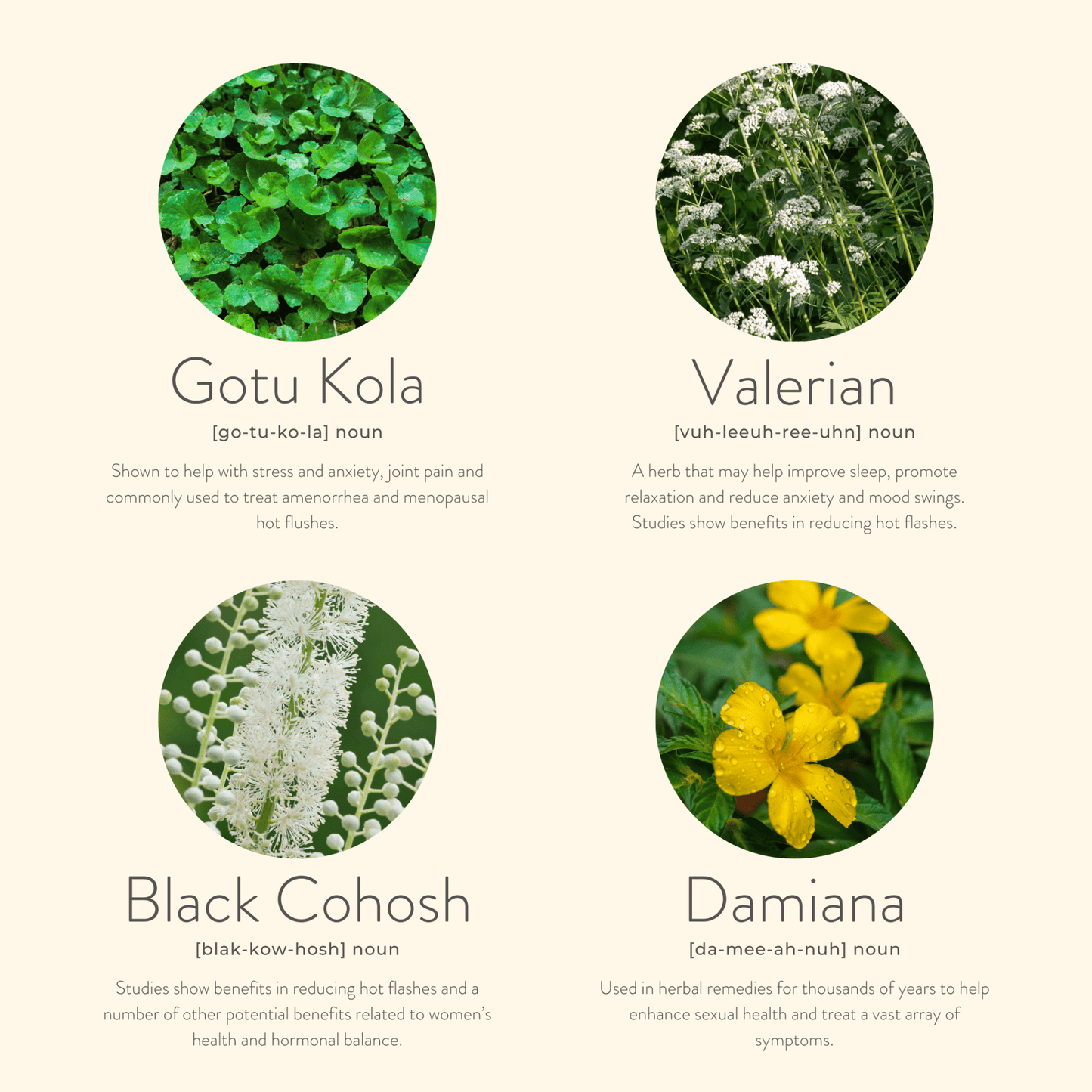 Menopause Balance Patches