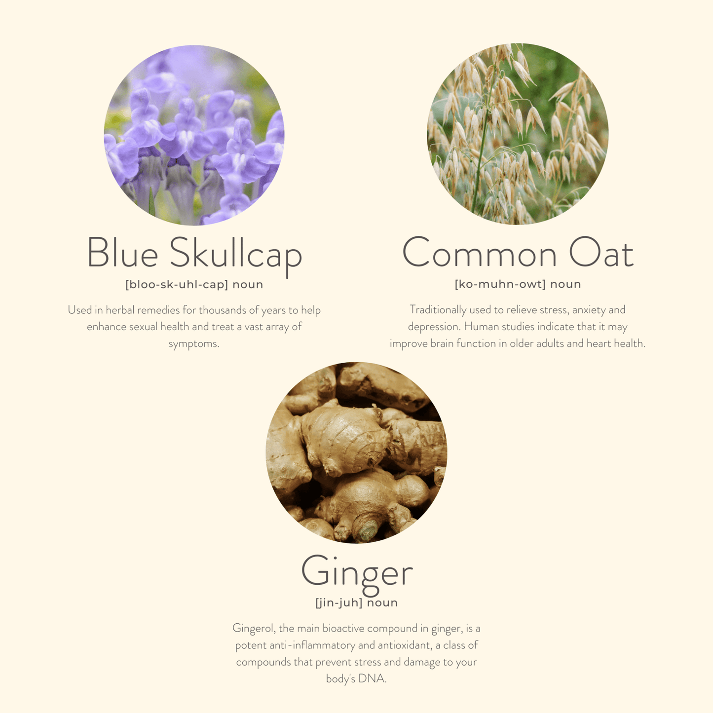 Menopause Balance Patches