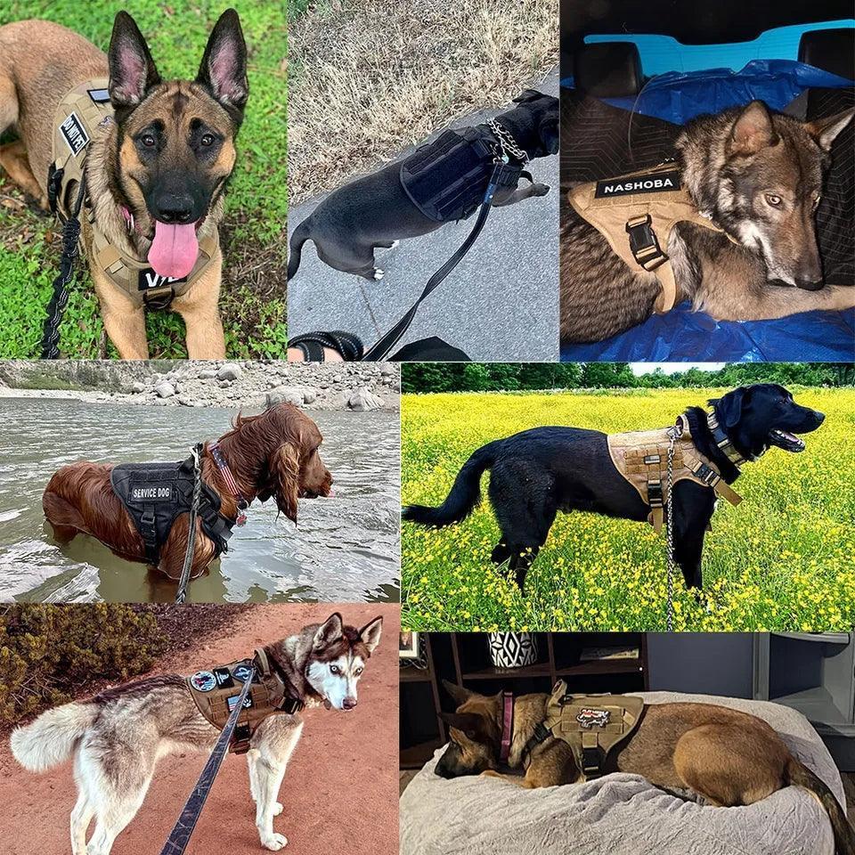 Military Grade Tactical Dog Harness Set