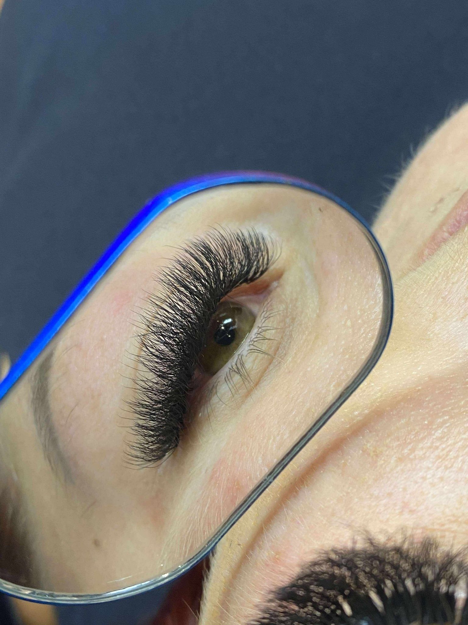 8D Clover Lash Mixed Tray