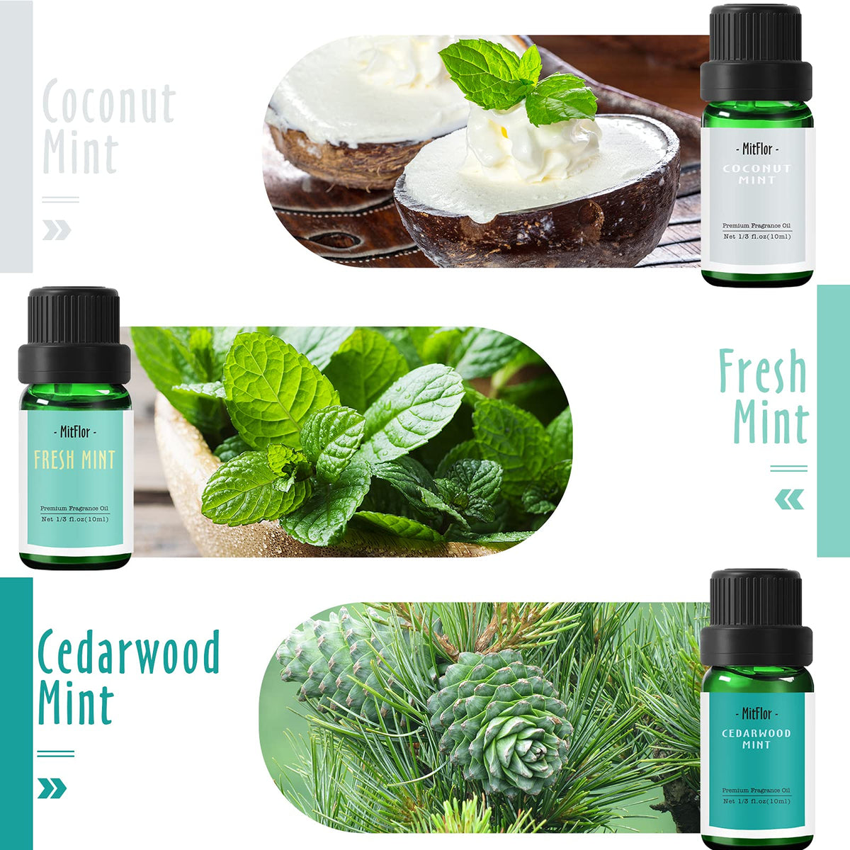 MitFlor Mint Fragrance Oils Set – 6x10ml Premium Scented Oils for Diffuser, Candle & Soap Making