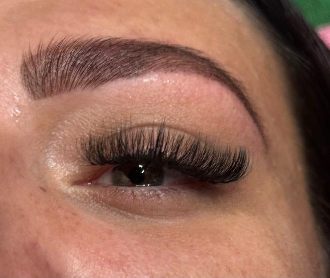 10D Clover Lash Mixed Tray