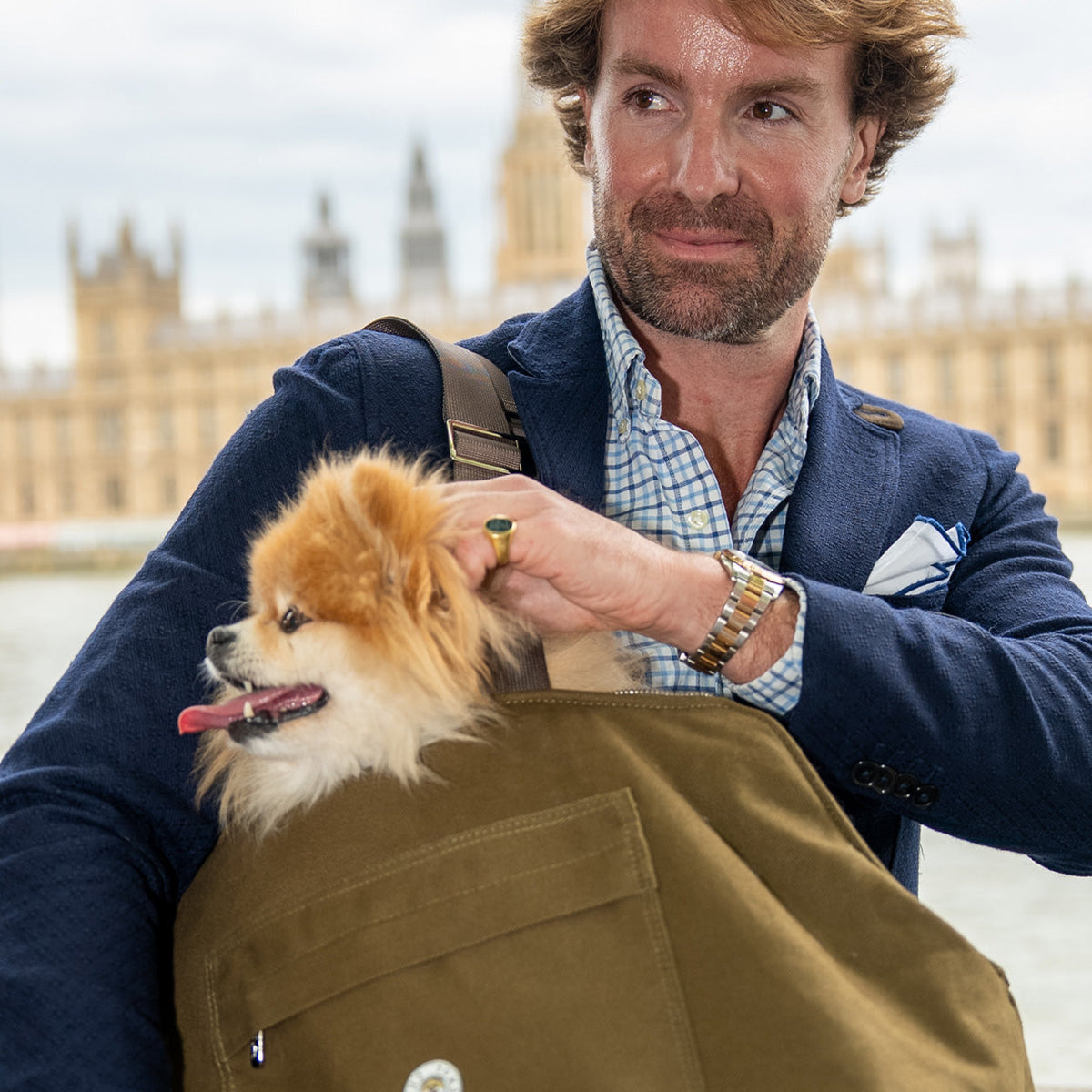 Mosswood | Berwick Dog Carrier