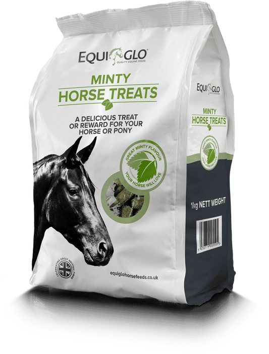 Mr Johnsons Equiglo Horse Treats & Herbs