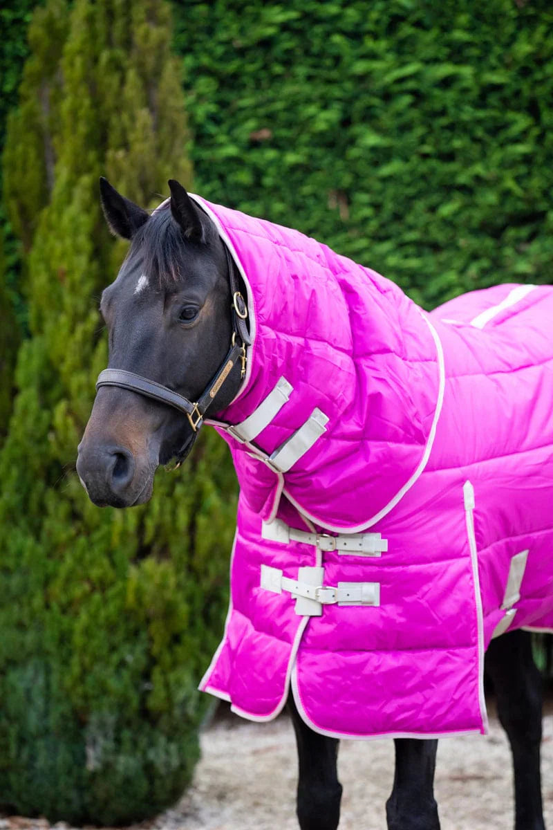 200g Stable Rug With Detachable Neck - Mulberry