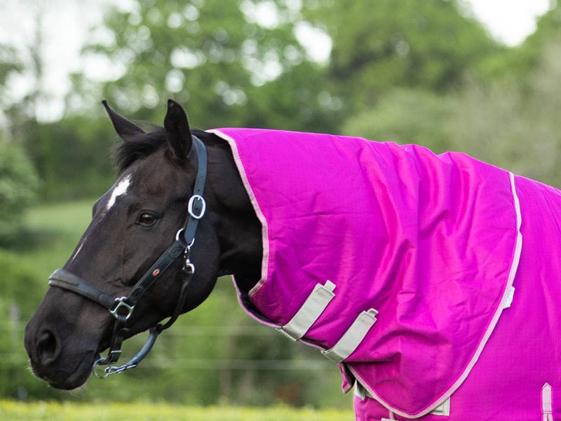 200g Mulberry Turnout Rug Neck Cover
