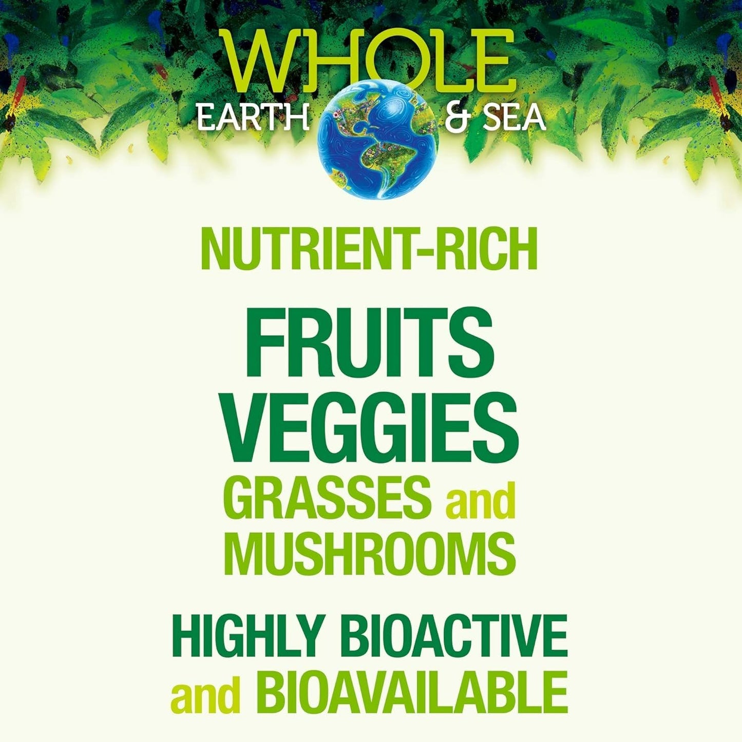 Natural Factors Whole Earth & Sea Organic Fermented Greens — Vegan, Unflavored, 13.8 oz