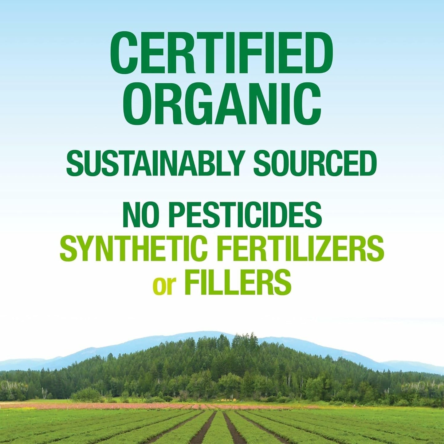 Natural Factors Whole Earth & Sea Organic Fermented Greens — Vegan, Unflavored, 13.8 oz